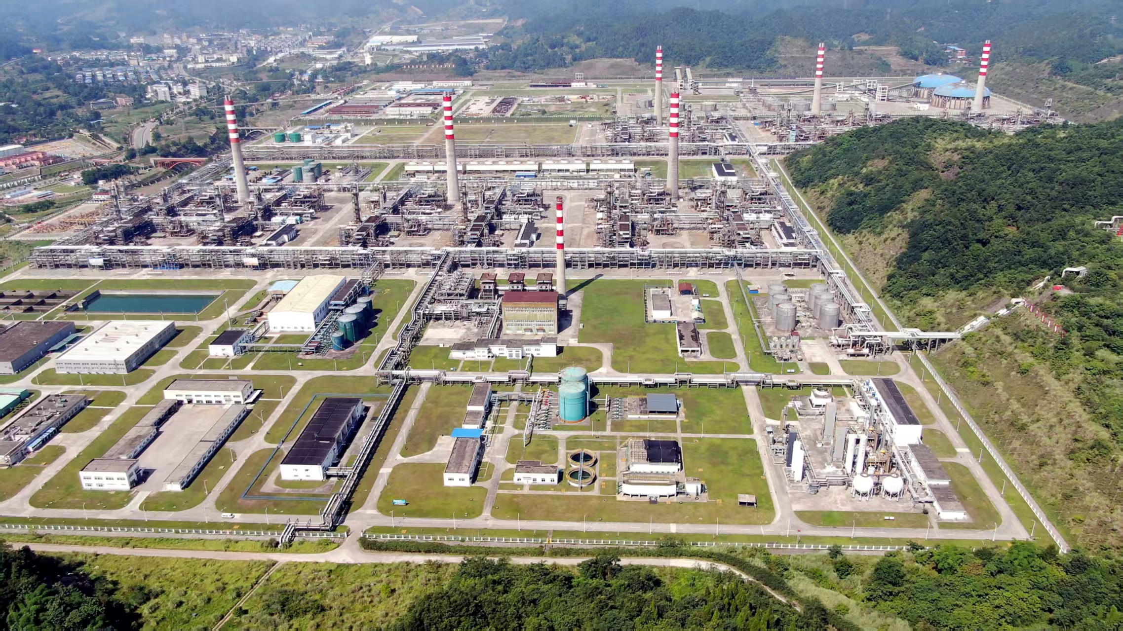 2025年2月新图1 2025年2月新图1